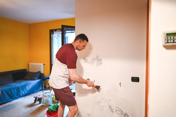 Best Mold Testing and Inspection Services in Annandale, VA
