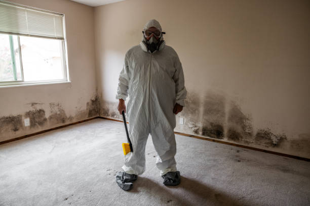 Best Mold Remediation for Specific Building Types in Annandale, VA